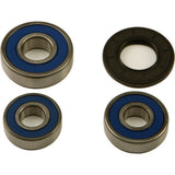 All Balls Rear Wheel Bearing Kit 25-1610