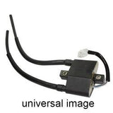 SPI PTO Ignition Coil SM-01197