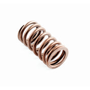 WSM Valve Spring for Yamaha 150 - 225 Hp 4-Stroke 02-10 120-310