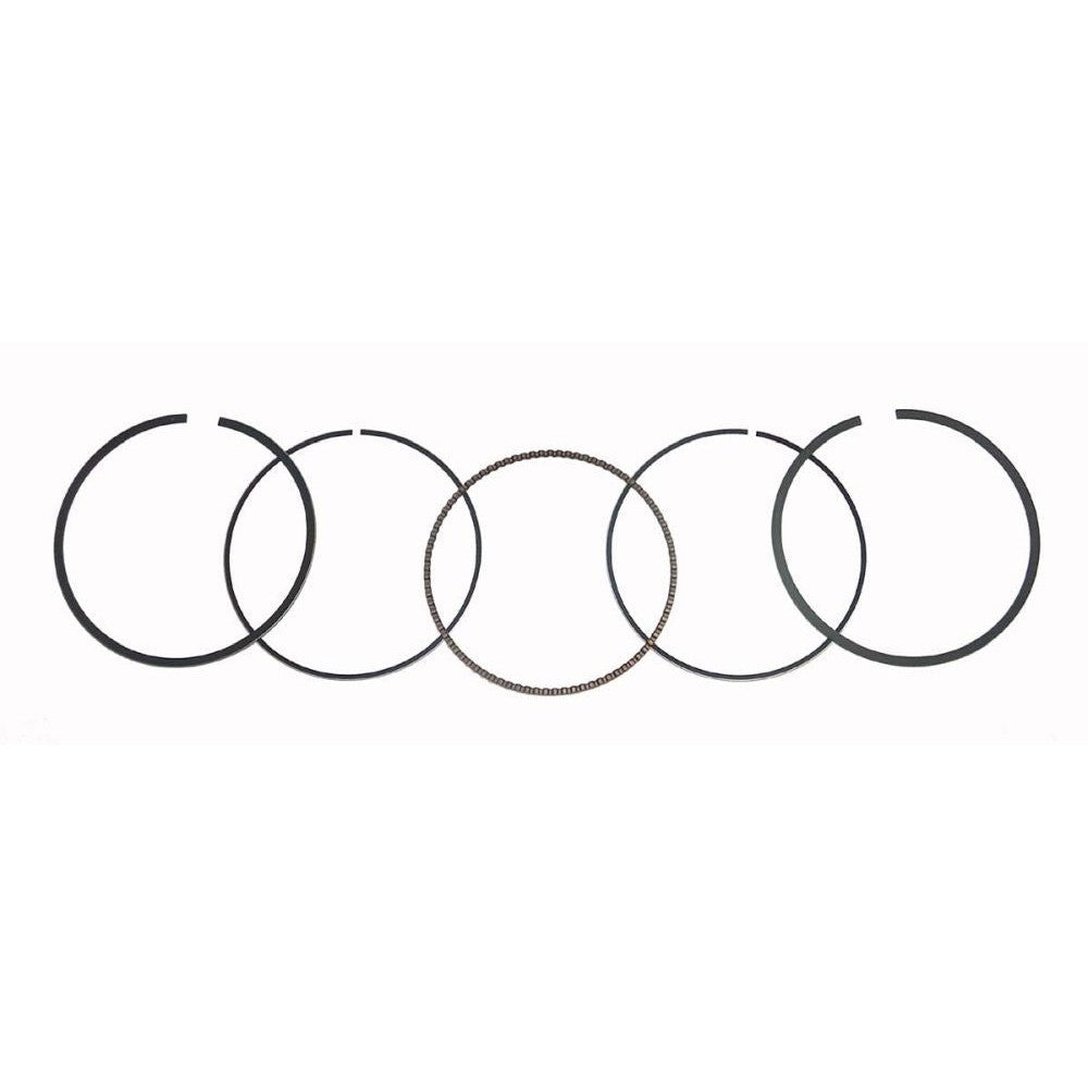 WSM Piston Rings For Honda 400 TRX-FW 95-03 Standard 51-220