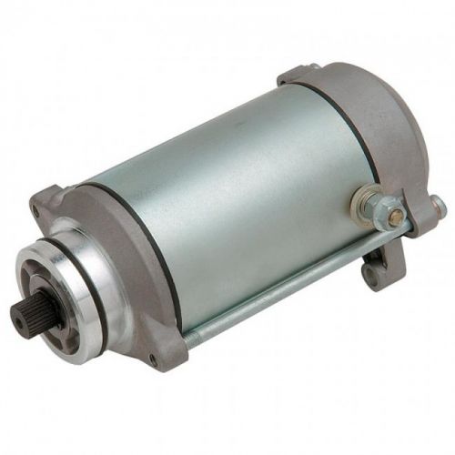 Starter Motor for Kawasaki KLF300C Bayou 1989-2004 Ricks