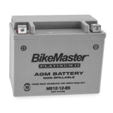 Batería AGM Platinum de 12 V para Kawasaki ZX600E Ninja ZX-6 (1993-2002), color gris