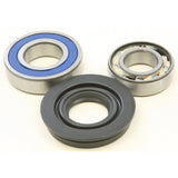 All Balls Lower Drive Shaft Track Bearing And Seal Kit 14-1026