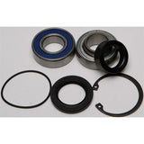 Kit de cojinetes y sellos para caja de cadena de motos de nieve All Balls Racing Inc 14-1006