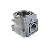 WSM Cylinder for Yamaha 1300 05-08 010-6024