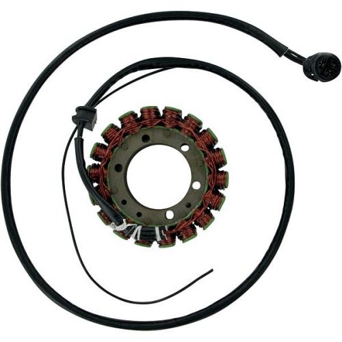 Stator for Kawasaki ZX1200 Ninja ZX12R 2000-2001 Ricks