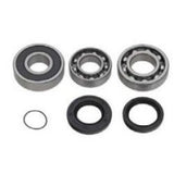 SPI Chain Case Bearing Kit SM-03207