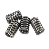 CSK Series Heavy Duty Clutch Spring Kit GL 1100 A Goldwing Aspencade 82-83