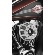 ARLEN NESS 18-940 NESS 10 GAUGE INV BIG SCKR CHR