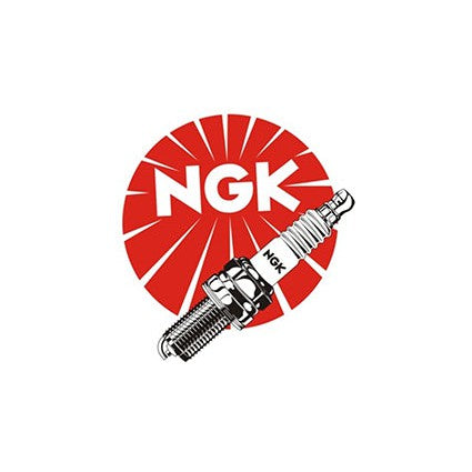 Set of 10 NGK Standard Spark Plugs ski-Doo ELAN 1972-1971 Engine 250cc