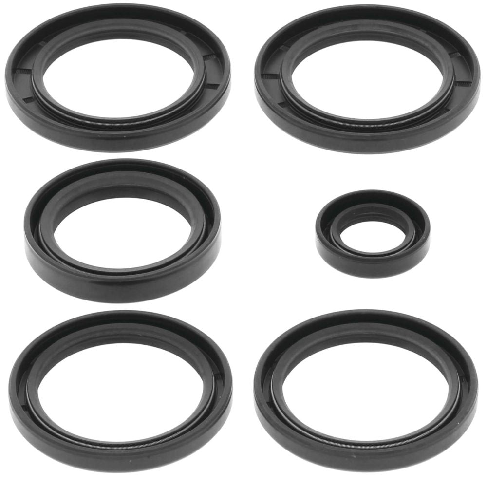 QuadBoss Differential Seal Kit Rear - 532520625