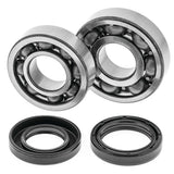 Kit de cojinetes y sellos de cigüeñal QuadBoss - 53241043