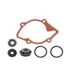 SPI Water Pump Repair Kit SM-10101