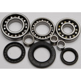 All Balls Rear Differential Bearing And Seal Kit 25-2020