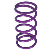 Epi PDS-6  Clutch Spring Polaris Purple