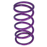 Epi PDS-6  Clutch Spring Polaris Purple