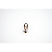 WSM Power Valve Spring for Sea-Doo 951 DI 00-07 010-034