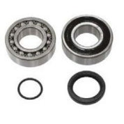 SPI Chaincase Bearing Kit SM-03203