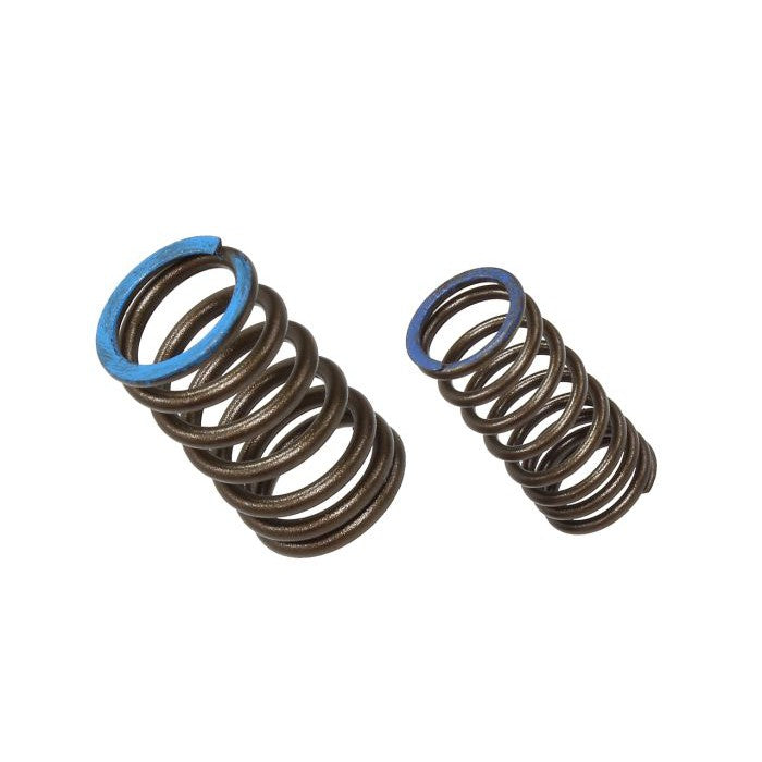 Intake Valve Spring XU-09563IS