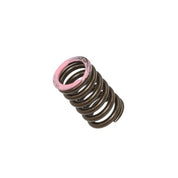 Intake Valve Spring XU-09565IS