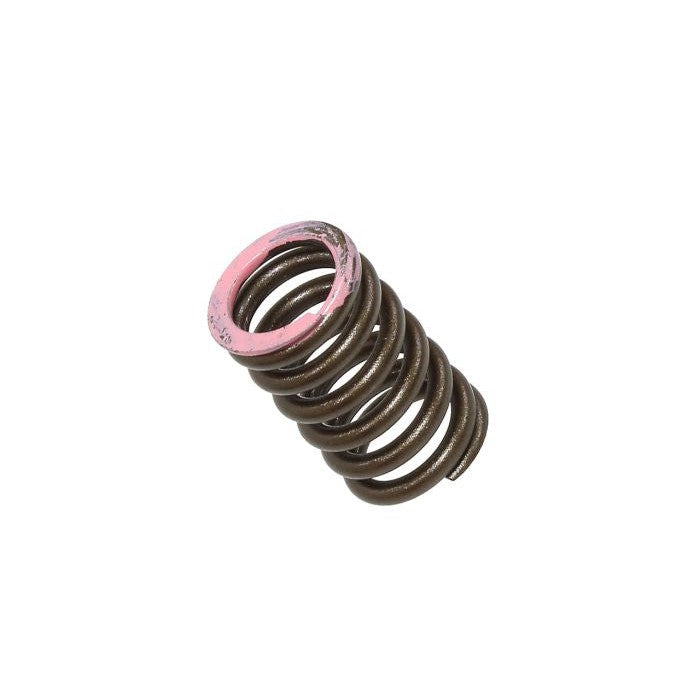 Intake Valve Spring XU-09565IS