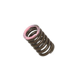 Intake Valve Spring XU-09565IS