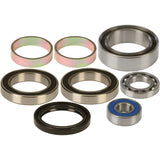 All Balls Lower Drive Shaft Track Bearing And Seal Kit 14-1014