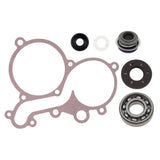Spi Water Pump Repair Kit  SM-10104