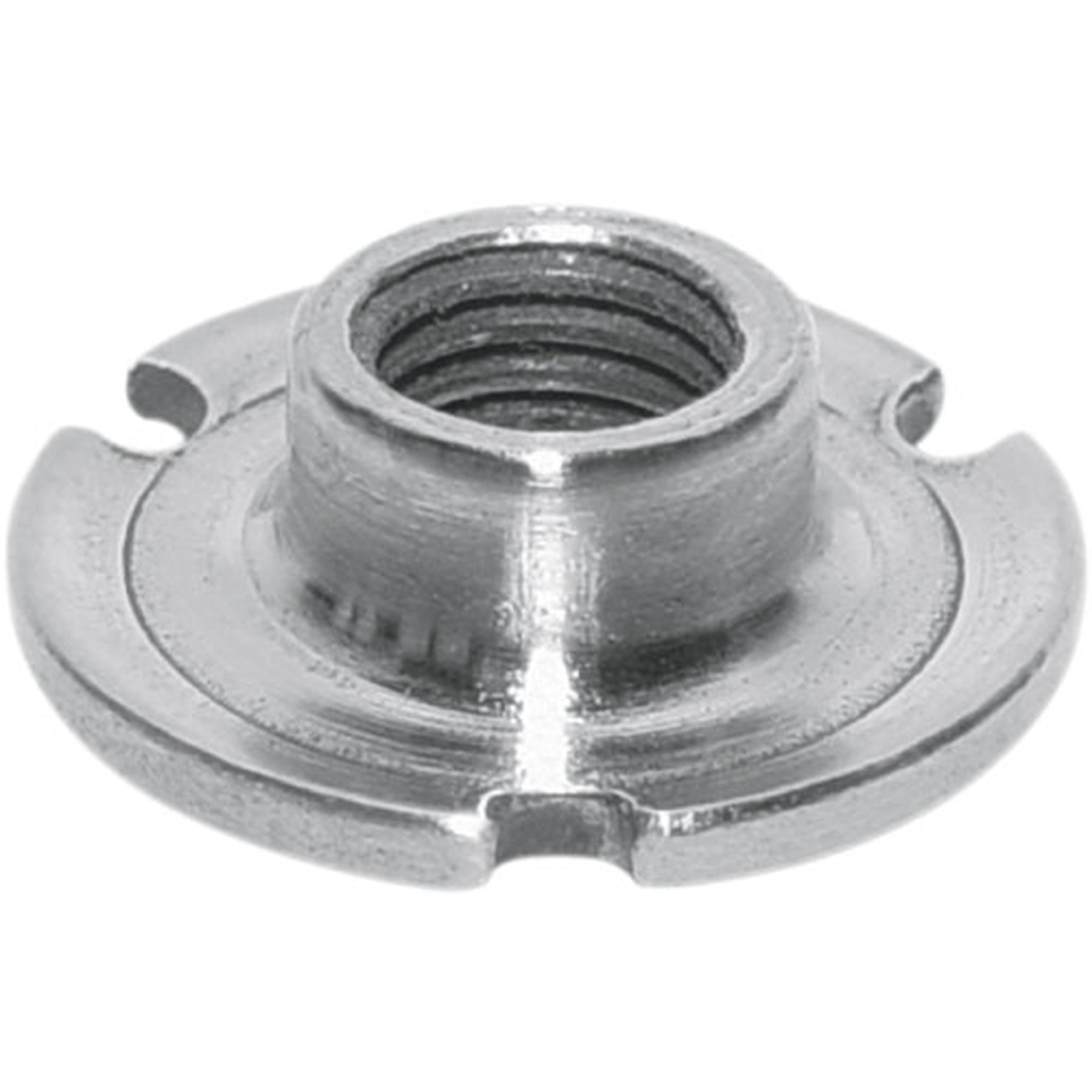 Dished Head T-Nut With 3/4 Inch Head 1/4-20 Thread 48pc