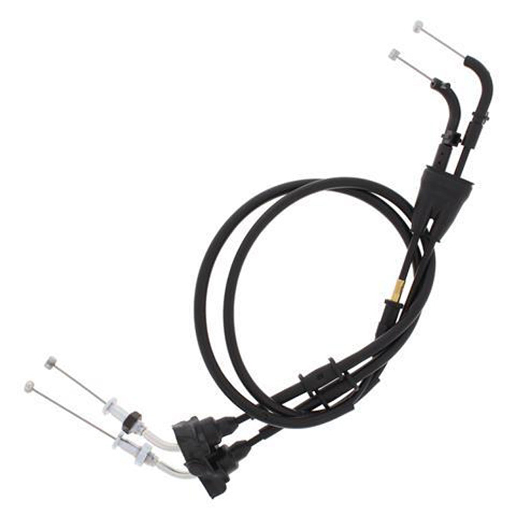 LG1EF36DAB-8EEF-406E-8CD1-C541A1F1C2E0.jpg