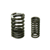 Bronco Intake And Exhaust Valve Springs XU-09543S
