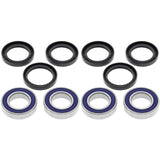 Complete Bearing Kit for Rear Wheels Eton RXL 40 VIPER JR (EURO) All