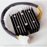Ricks Rectifier-Regulator Lithium Compatible 14-218
