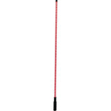 DragonFire Racing LED Lighted Whip V2 with Remote 4 FT Clear - 522605
