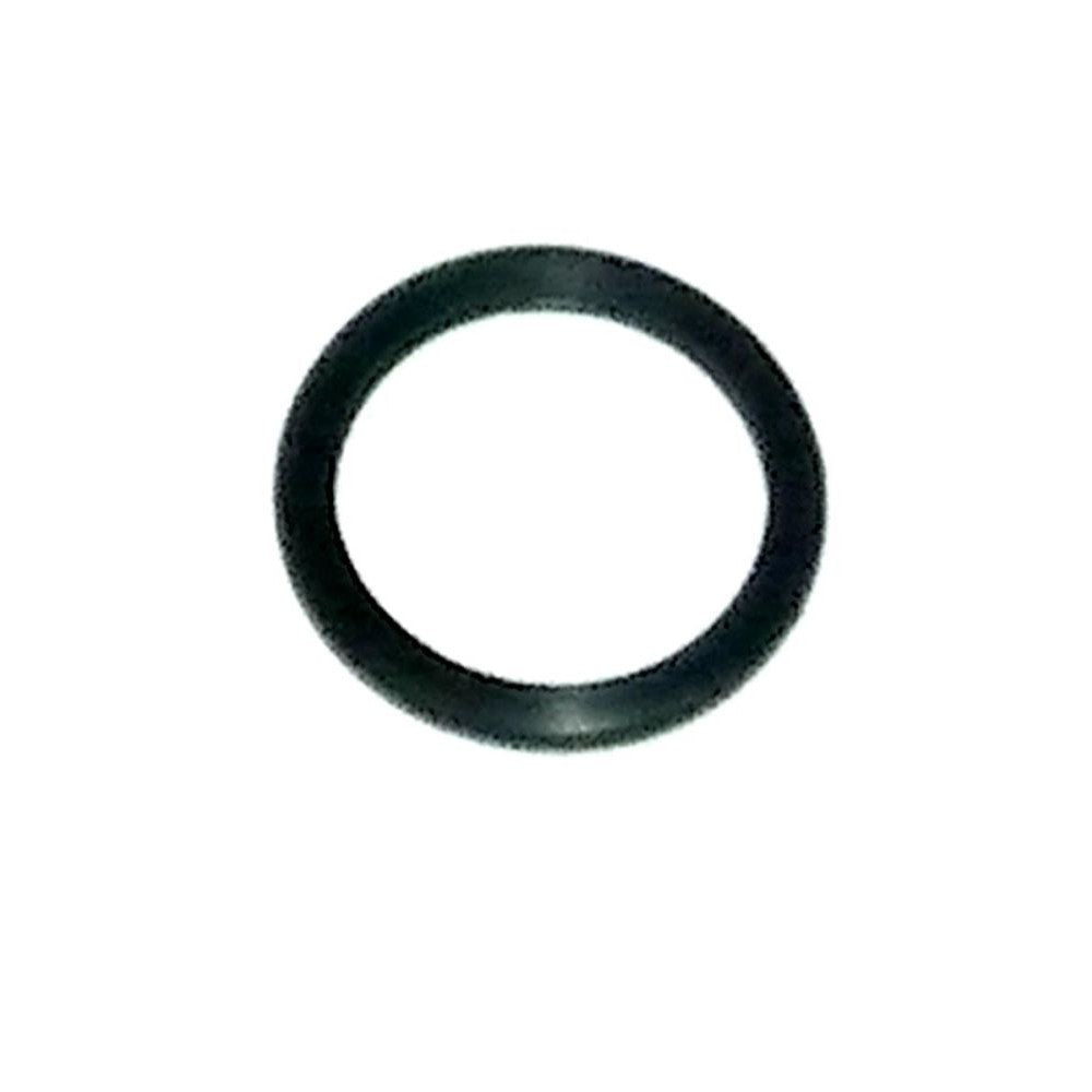 WSM Thermostat O-Ring For Johnson / Evinrude 200 - 300 Hp E-Tec / FICHT 99-14