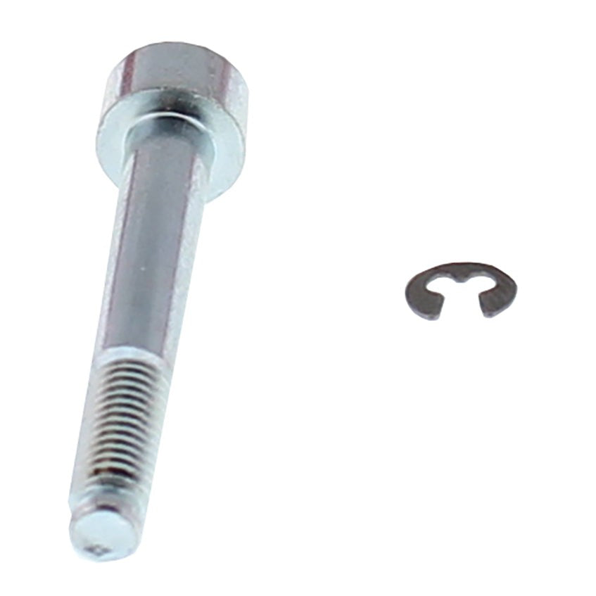 abac-6271a38ae7ece.jpg