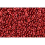 ACC Replacement Carpet Kit For 1968-1972 Chevrolet Chevelle Malibu 2DR Auto - CHOOSE COLOR