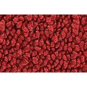 ACC Replacement Carpet Kit For 1973 Chevrolet Nova 2DR 4spd without Console - CHOOSE COLOR
