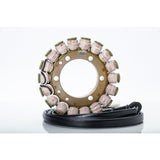 Ricks Stator 21-006