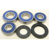 All Balls Rear Wheel Bearing Kit 25-1694