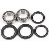 2009-2010 Honda TRX 420FPE Pivot Works Front Wheel Bearing Kit Honda Atv