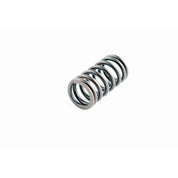 WSM Valve Spring for Yamaha 150 - 350 Hp 4-Stroke 120-360