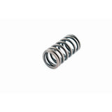WSM Valve Spring for Yamaha 150 - 350 Hp 4-Stroke 120-360