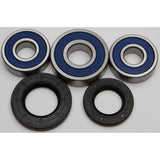Kit de cojinetes de rueda trasera All Balls 25-1359