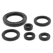 QuadBoss Oil Seal Set - 822978