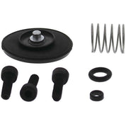 QuadBoss Accelerator Pump Kit - 53463011