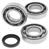 Kit de cojinetes y sellos de cigüeñal QuadBoss - 53241090
