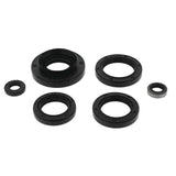 QuadBoss Oil Seal Set - 822366