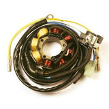 PROCOM ESL960 Lighting Stator Honda Crf250r/450r - 60w