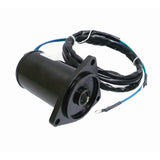 Motor de inclinación y ajuste WSM para Yamaha 75-150 HP, 4 tiempos, 06-21 PH200-T075